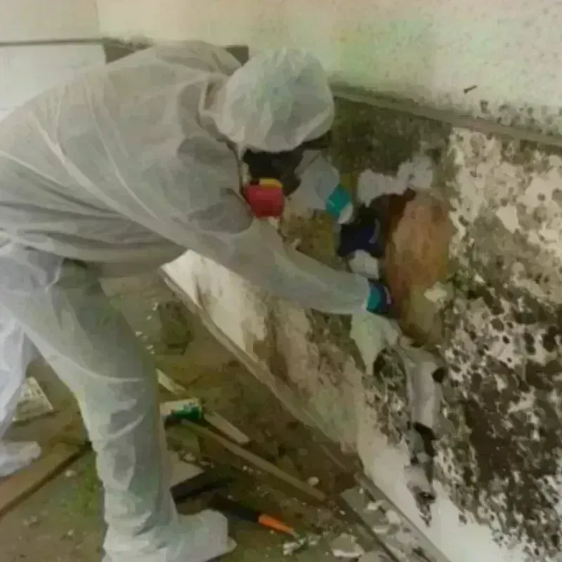 Mold Remediation and Removal in Montgomery County, KS