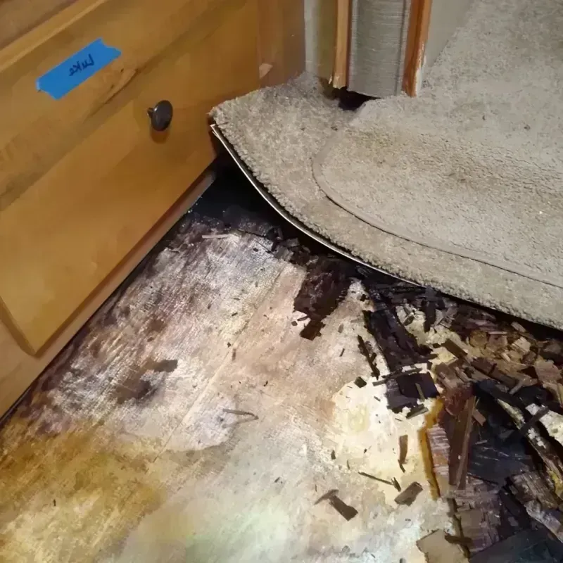 Wood Floor Water Damage in Montgomery County, KS